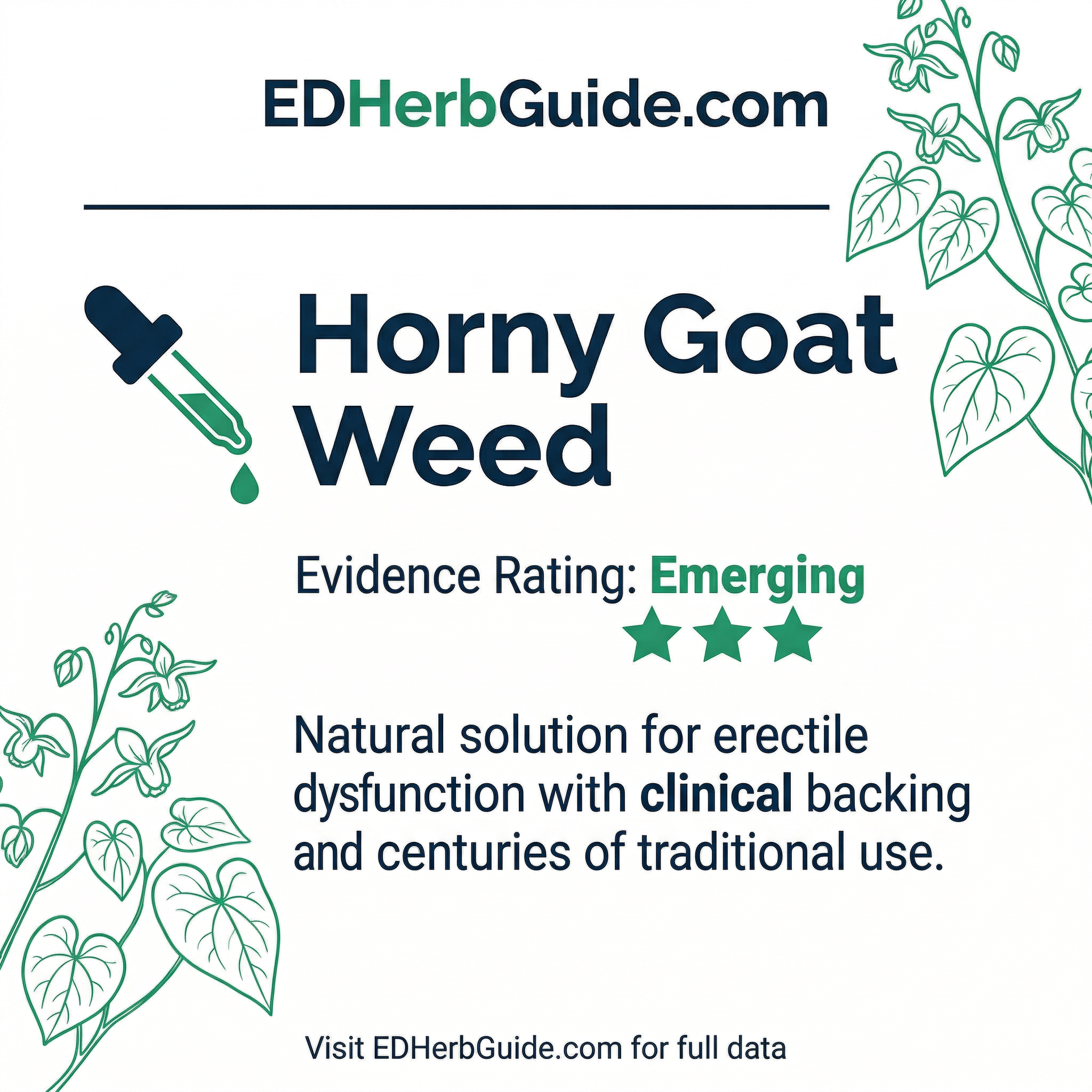 ED Herb Guide Feature Card Horny Goat Weed